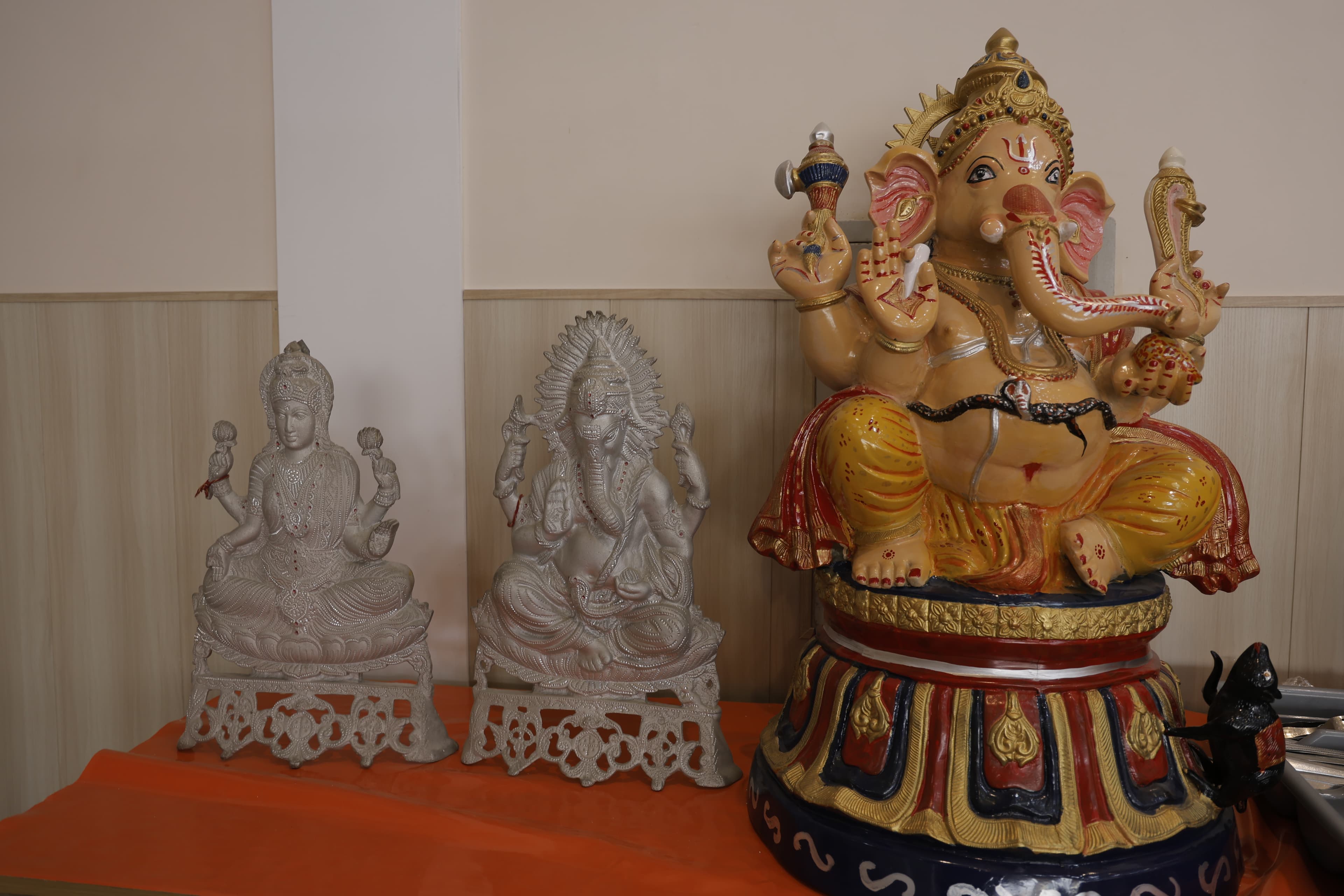 Dolphin Fun & Food gallery image pic-05.jpg